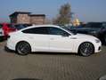 Audi A5 Sportback 40TFSi S line Matrix-LED Navi AHK Weiß - thumbnail 5