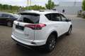 Toyota RAV 4 Hybrid Edition-S 4x2 Navi LED-Scheinwerfer Blanco - thumbnail 3