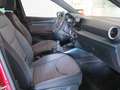 SEAT Arona 1.0 TSI S&S Xperience XS 110 Rouge - thumbnail 5