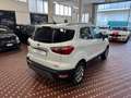 Ford EcoSport 1.0 EcoBoost 100 CV ST-Line Black Edition Wit - thumbnail 4