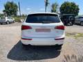 Audi Q5 3.2L V6 TFSI Wit - thumbnail 5