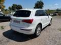 Audi Q5 3.2L V6 TFSI Wit - thumbnail 4