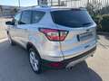Ford Kuga 1.5 TDCI 120 CV S&S 2WD Titanium Business Gris - thumbnail 10