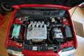 Alfa Romeo 145 2.0 Quadrifoglio 16V - AC - 85000 KM Rosso - thumbnail 13