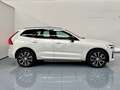 Volvo XC60 B4 Ultimate Dark FWD Aut. Blanco - thumbnail 2
