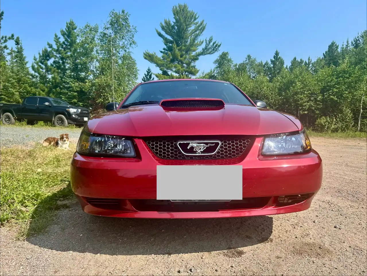 Ford Mustang снимка Ford Mustang