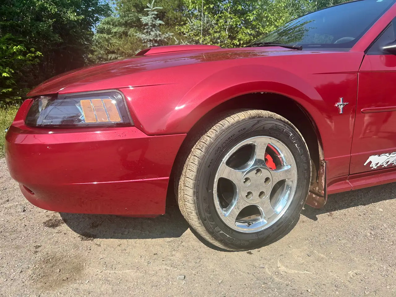 Ford Mustang снимка Ford Mustang