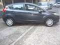 Ford Fiesta Fiesta VI  5p 1.4 16v GPL Originale Gris - thumbnail 14