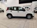 Fiat Panda 1.0 FireFly S&S Hybrid Blanc - thumbnail 5