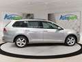 Volkswagen Golf VII Variant 1,6 TDI BMT Comfortline Grau - thumbnail 5