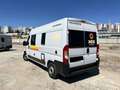 Fiat Ducato Weinsberg Carabus 600 K | 4 Posti Letto Bianco - thumbnail 6