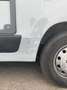 Fiat Ducato Weinsberg Carabus 600 K | 4 Posti Letto Blanco - thumbnail 27