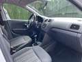 Volkswagen Polo Polo 1.4 TDI BMT A-Polo 55kW A-Polo Blanco - thumbnail 13