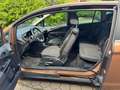 Ford B-Max Titanium Marrone - thumbnail 2