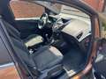 Ford B-Max Titanium Marrone - thumbnail 10
