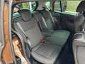 Ford B-Max Titanium Brun - thumbnail 6