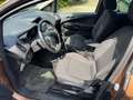 Ford B-Max Titanium Marrone - thumbnail 13