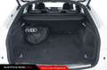 Audi Q5 Sportback 50 TFSI e quattro S tronic S line plus Bianco - thumbnail 10
