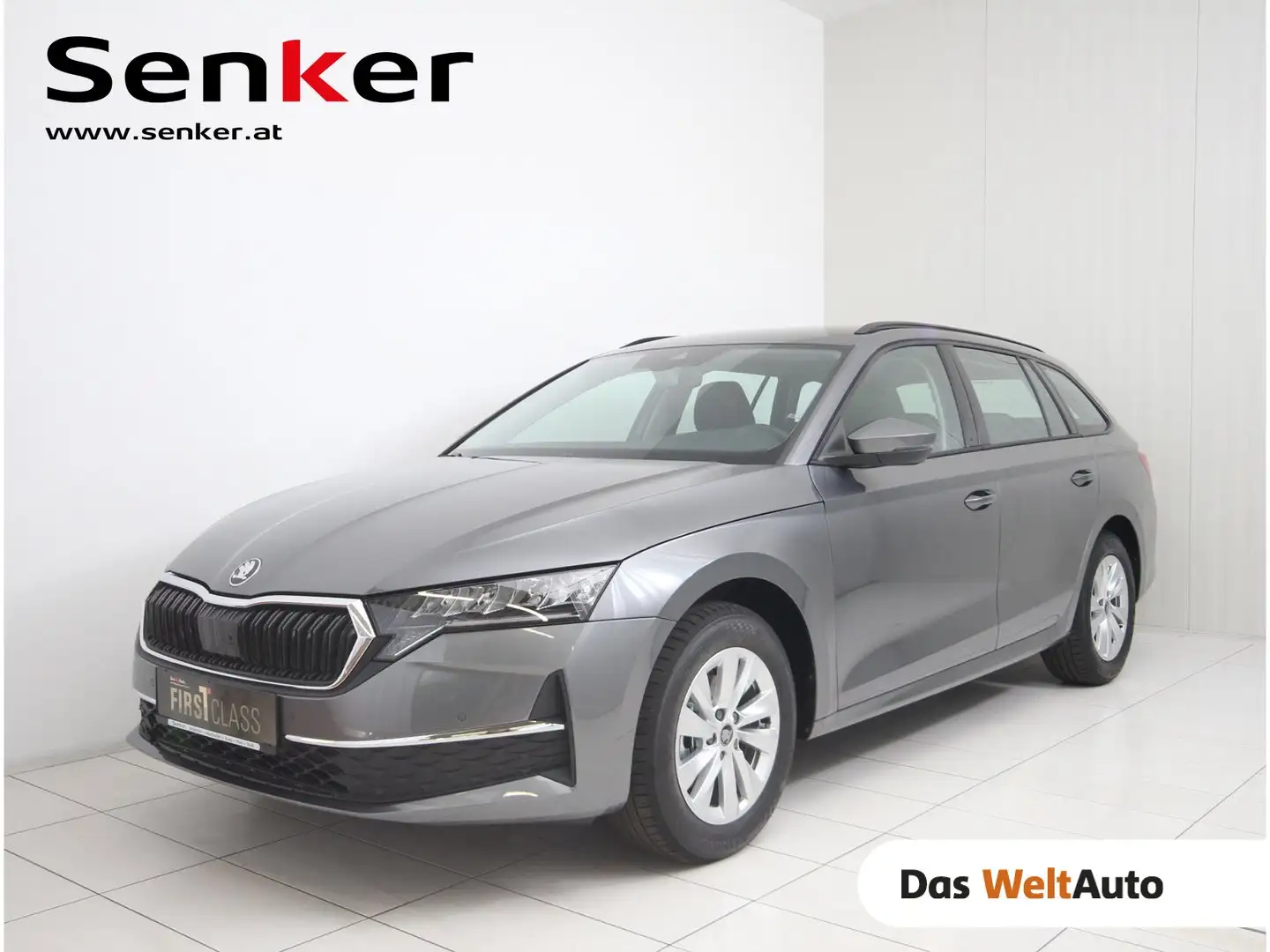 Skoda Octavia Selection TDI DSG Grigio - 1