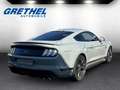 Ford Mustang Mach1 5.0 Ti-VCT V8 Coupe Gris - thumbnail 5