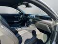 Ford Mustang Mach1 5.0 Ti-VCT V8 Coupe Gris - thumbnail 14