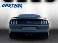 Ford Mustang Mach1 5.0 Ti-VCT V8 Coupe Gris - thumbnail 4