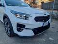 Kia XCeed 1.6 crdi Evolution Lounge Pack 136cv dct - thumbnail 8