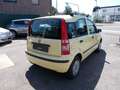 Fiat Panda 1.2 8V Dynamic Klima Gelb - thumbnail 5