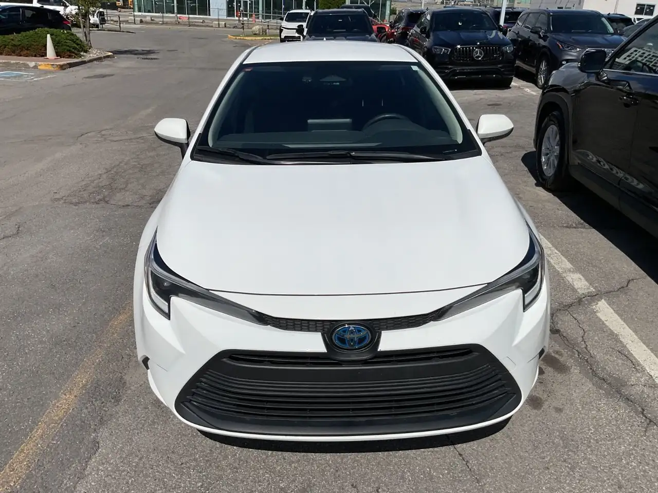 Toyota Corolla снимка Toyota Corolla