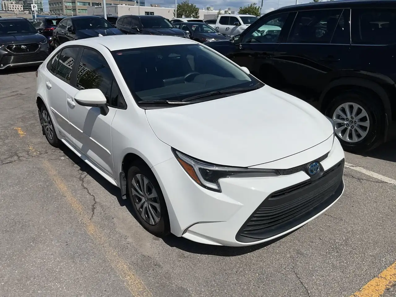 Toyota Corolla снимка Toyota Corolla