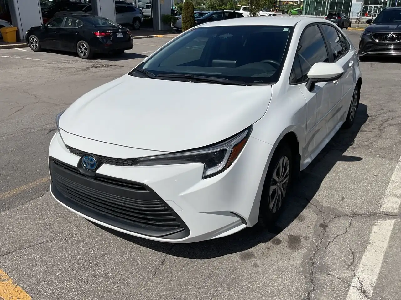 2025 Toyota Corolla