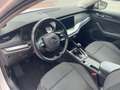 Skoda Octavia Octavia IV Wagon 2.0 tdi evo Ambition 115cv Bianco - thumbnail 10