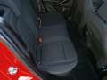 Ford Focus 1,5 EcoBlue ST-Line Business Rot - thumbnail 15