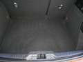 Ford Focus 1,5 EcoBlue ST-Line Business Rot - thumbnail 16