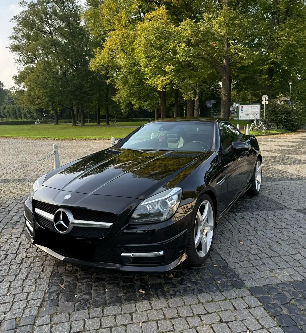 Mercedes-Benz SLK 250 (BlueEFFICIENCY) 7G-TRONIC - 2