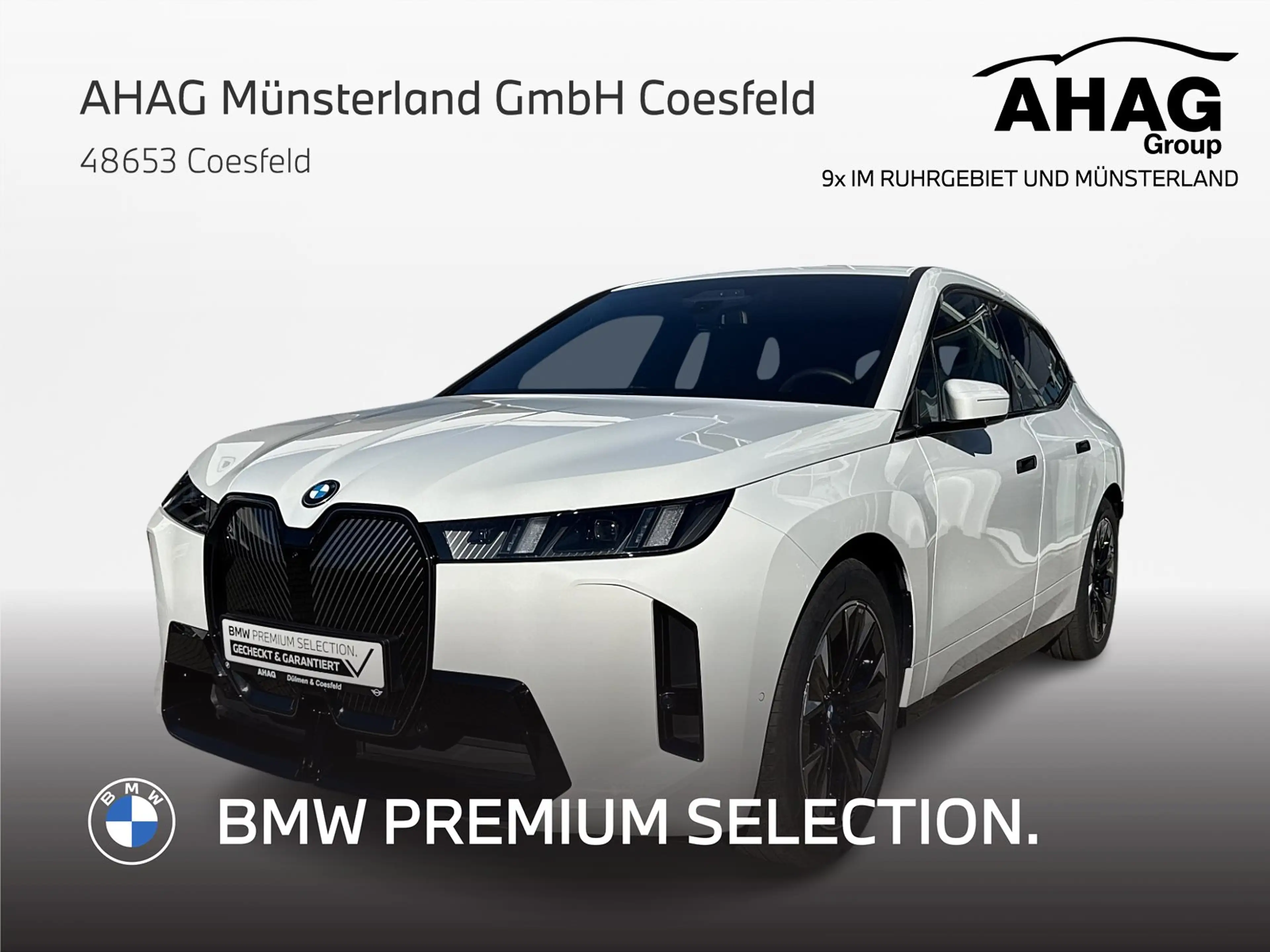 BMW iX xDrive45  M Sport AHK Sitzbelüf 360° ACC H/K