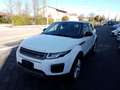Land Rover Range Rover Evoque 2.0 eD4 5p. Pure UNICO PROPRIETARIO Bianco - thumbnail 3
