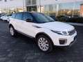 Land Rover Range Rover Evoque 2.0 eD4 5p. Pure UNICO PROPRIETARIO Bianco - thumbnail 4