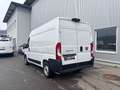 Fiat Ducato Ducato 33 L2H2 BlueHDi 140 S&S Weiß - thumbnail 4