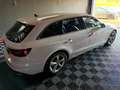 Audi A4 30 TDI *VIRTUAL*KAMERA*Sport* Weiß - thumbnail 4