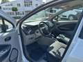 Renault ZOE Intens inkl. Batterie Klima Navi Rückfahrkamera Weiß - thumbnail 10
