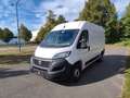 Fiat Ducato Kasten 33 120 L2H2 Euro6 Klima PDC Weiß - thumbnail 3
