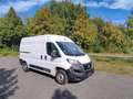 Fiat Ducato Kasten 33 120 L2H2 Euro6 Klima PDC Weiß - thumbnail 2