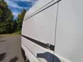 Fiat Ducato Kasten 33 120 L2H2 Euro6 Klima PDC Weiß - thumbnail 12