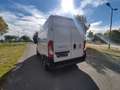 Fiat Ducato Kasten 33 120 L2H2 Euro6 Klima PDC Weiß - thumbnail 16