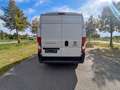 Fiat Ducato Kasten 33 120 L2H2 Euro6 Klima PDC Weiß - thumbnail 15