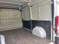 Fiat Ducato Kasten 33 120 L2H2 Euro6 Klima PDC Weiß - thumbnail 18