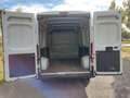 Fiat Ducato Kasten 33 120 L2H2 Euro6 Klima PDC Weiß - thumbnail 19