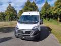 Fiat Ducato Kasten 33 120 L2H2 Euro6 Klima PDC Weiß - thumbnail 11