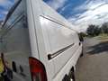 Fiat Ducato Kasten 33 120 L2H2 Euro6 Klima PDC Weiß - thumbnail 13